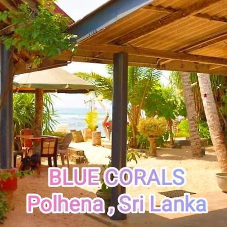 Blue Corals Beach Bungalow Matara Exteriör bild