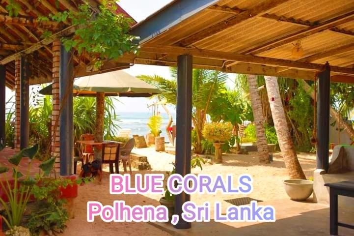 Blue Corals Beach Bungalow Matara Exteriör bild