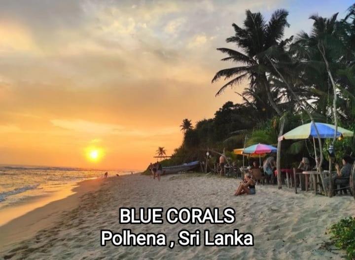 Blue Corals Beach Bungalow Matara Exteriör bild