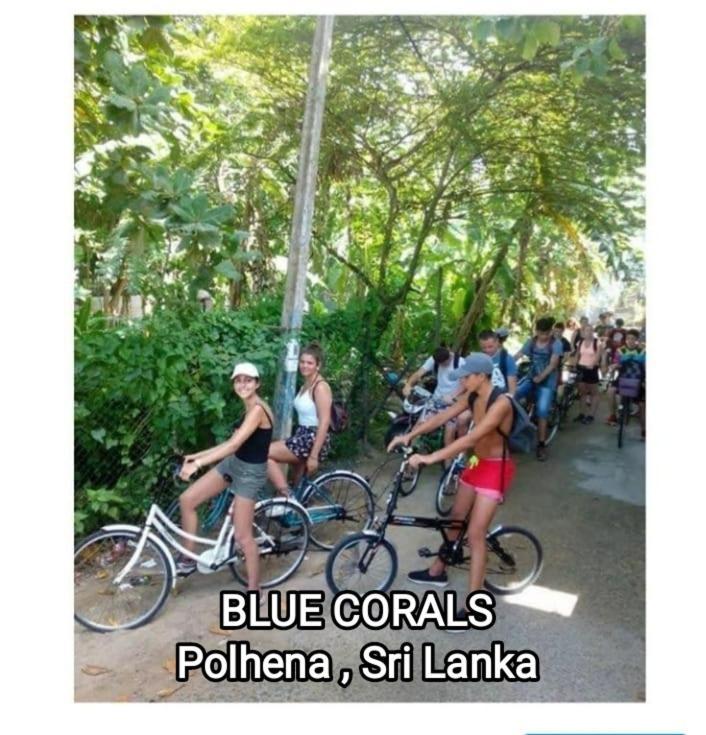 Blue Corals Beach Bungalow Matara Exteriör bild