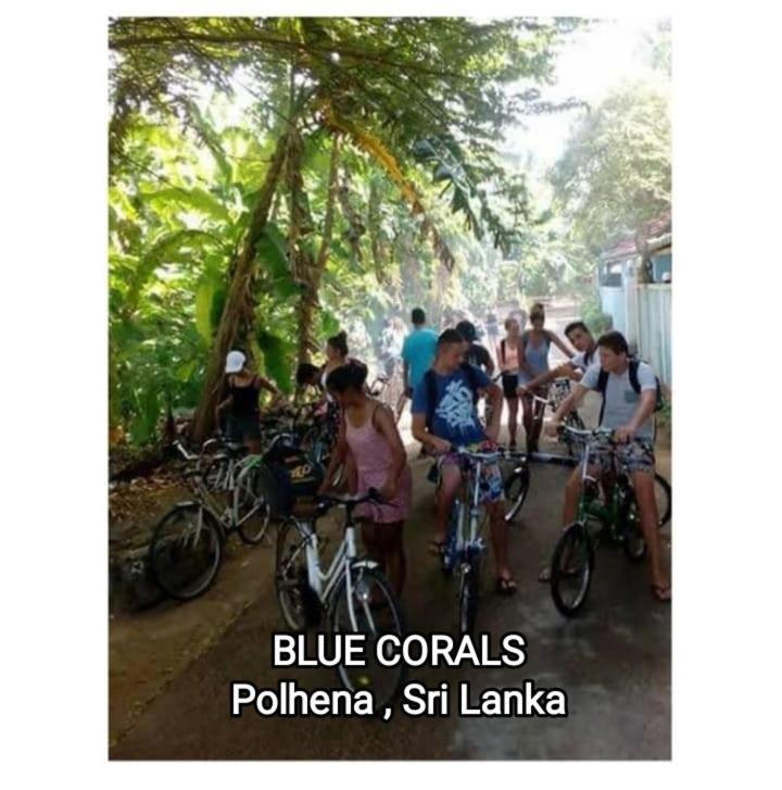 Blue Corals Beach Bungalow Matara Exteriör bild