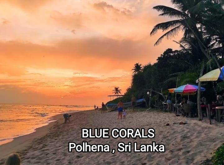 Blue Corals Beach Bungalow Matara Exteriör bild