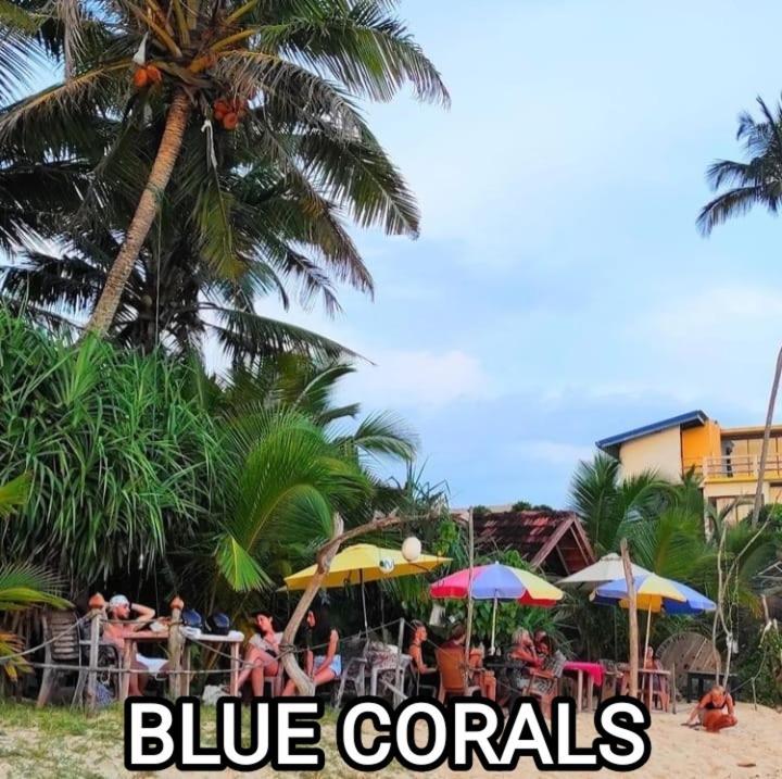 Blue Corals Beach Bungalow Matara Exteriör bild