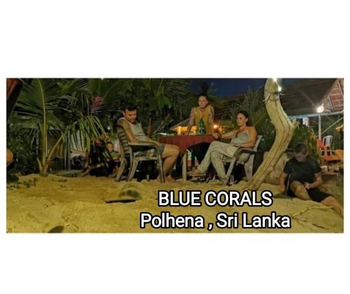 Blue Corals Beach Bungalow Matara Exteriör bild