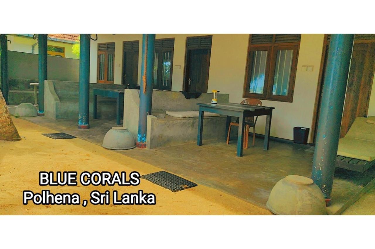 Blue Corals Beach Bungalow Matara Exteriör bild