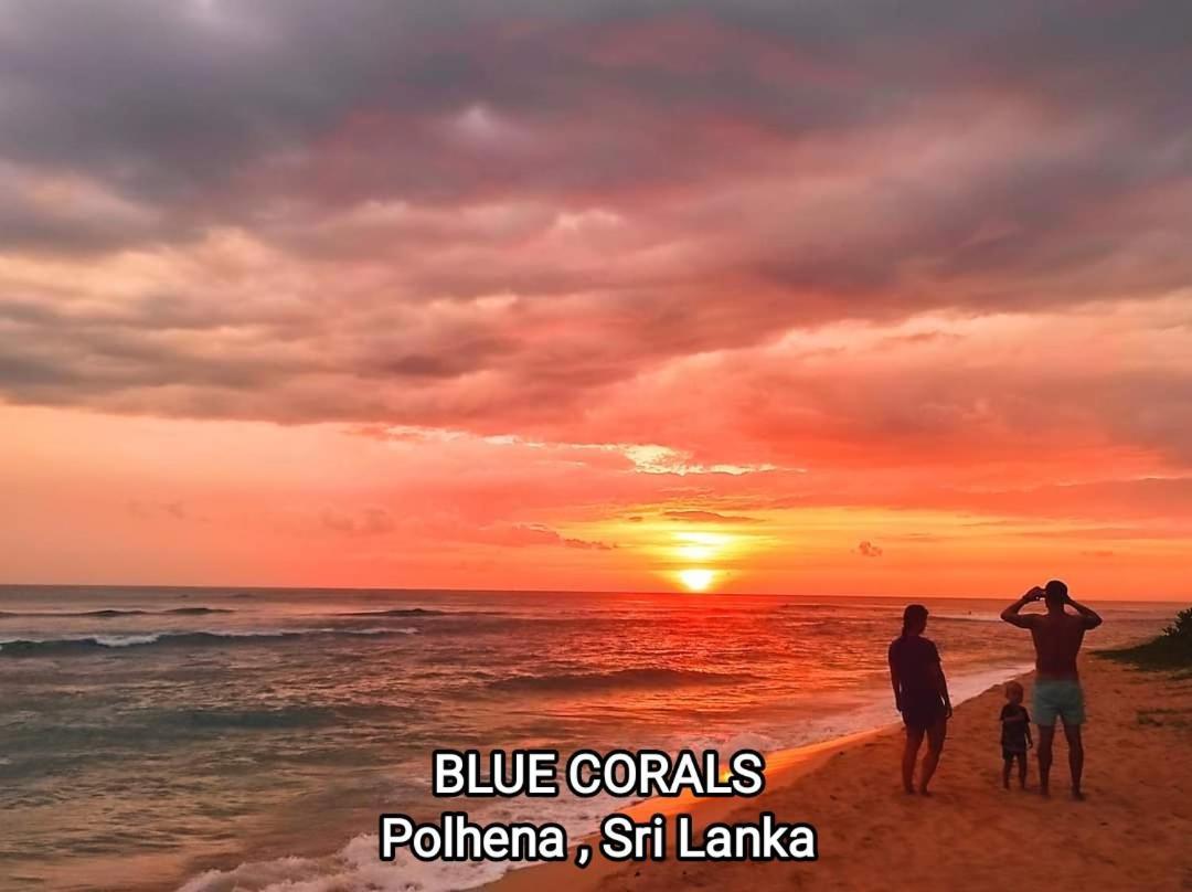 Blue Corals Beach Bungalow Matara Exteriör bild