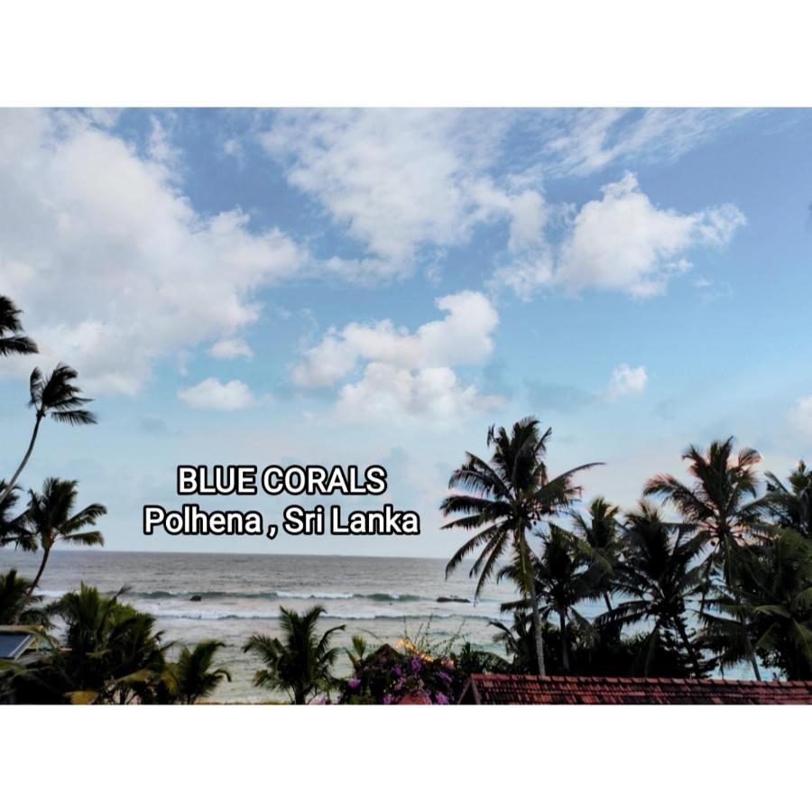 Blue Corals Beach Bungalow Matara Exteriör bild