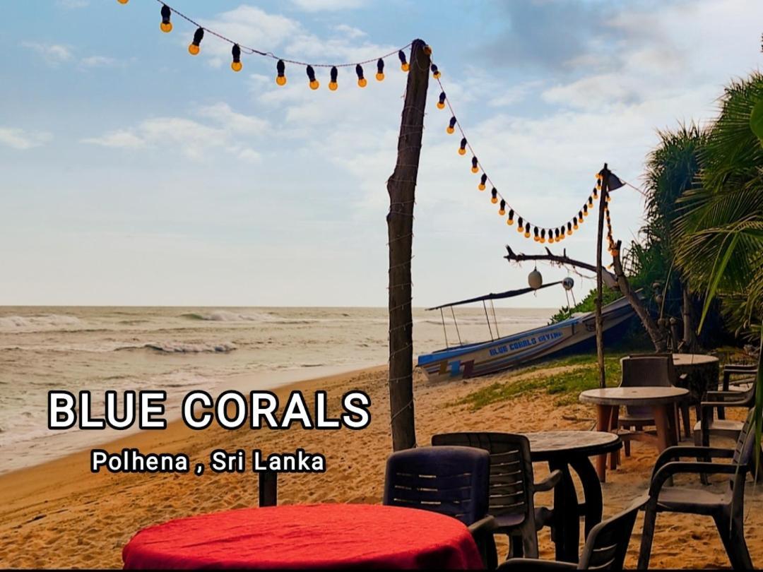 Blue Corals Beach Bungalow Matara Exteriör bild