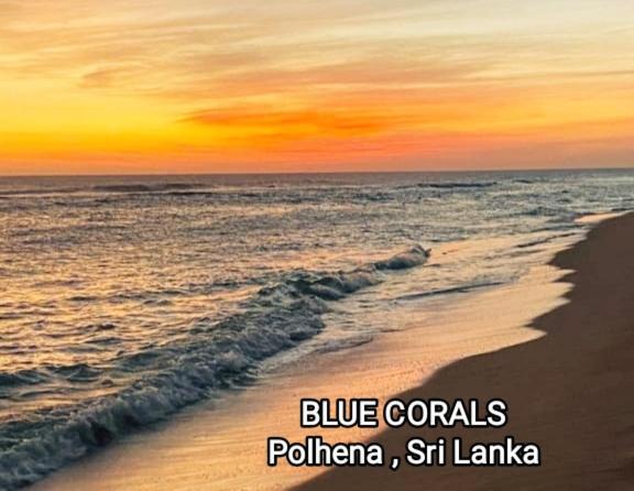 Blue Corals Beach Bungalow Matara Exteriör bild
