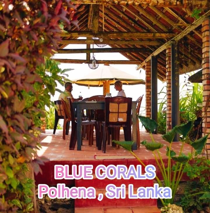 Blue Corals Beach Bungalow Matara Exteriör bild