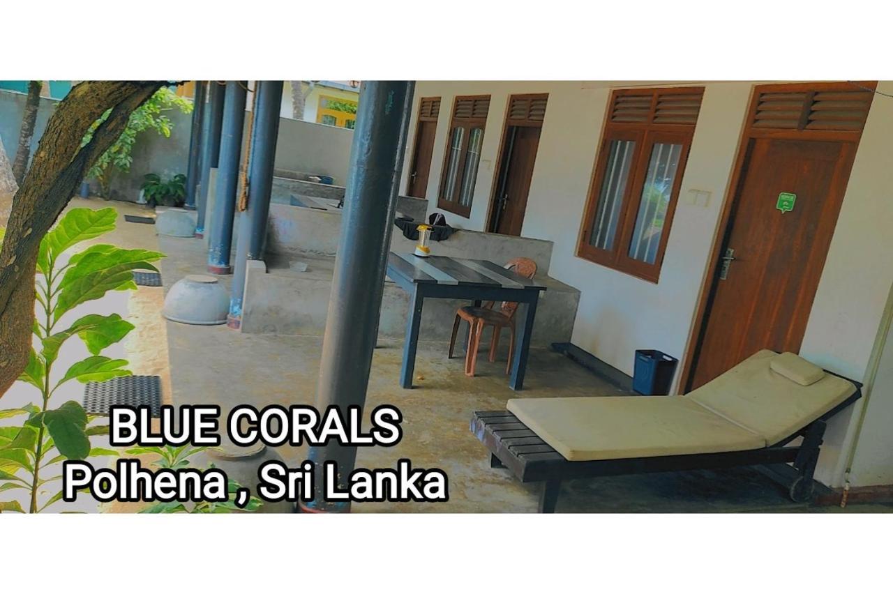 Blue Corals Beach Bungalow Matara Exteriör bild