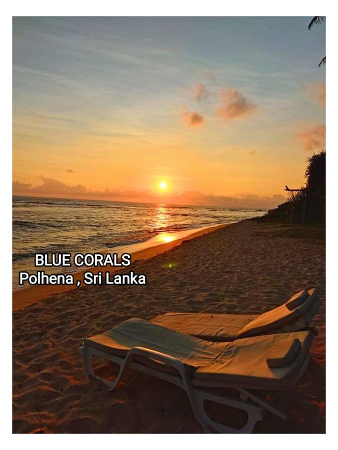Blue Corals Beach Bungalow Matara Exteriör bild