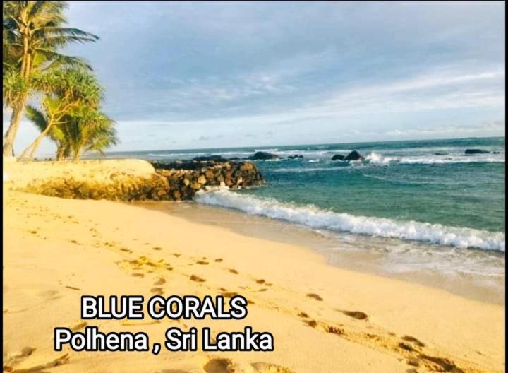 Blue Corals Beach Bungalow Matara Exteriör bild