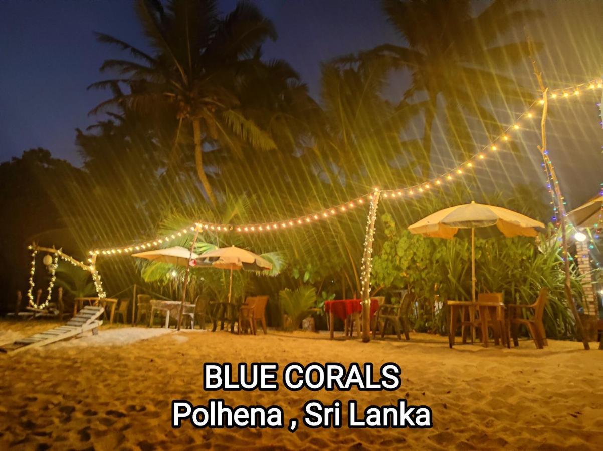 Blue Corals Beach Bungalow Matara Exteriör bild