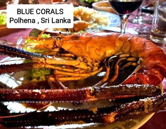 Blue Corals Beach Bungalow Matara Exteriör bild