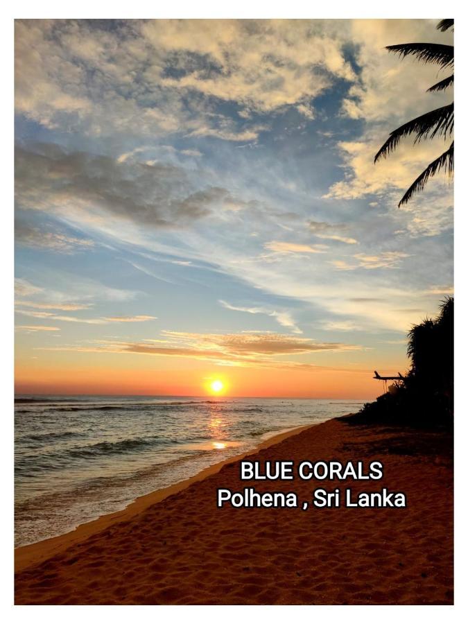 Blue Corals Beach Bungalow Matara Exteriör bild