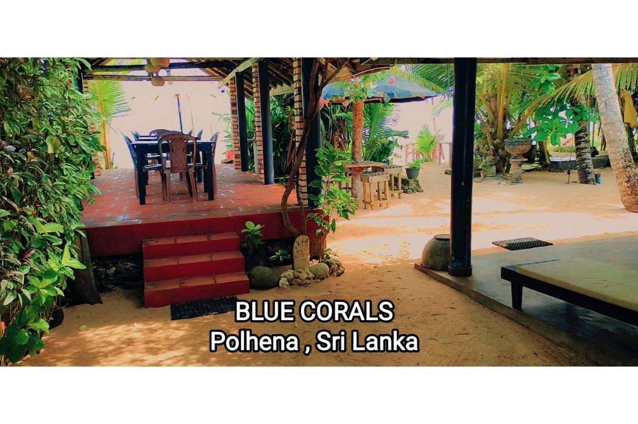 Blue Corals Beach Bungalow Matara Exteriör bild
