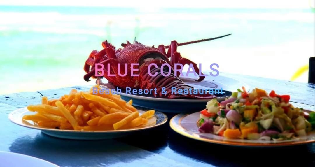 Blue Corals Beach Bungalow Matara Exteriör bild