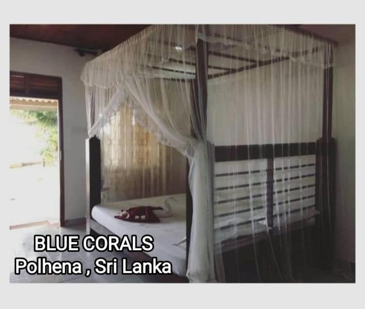 Blue Corals Beach Bungalow Matara Exteriör bild