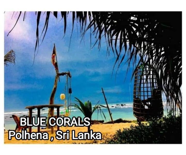 Blue Corals Beach Bungalow Matara Exteriör bild