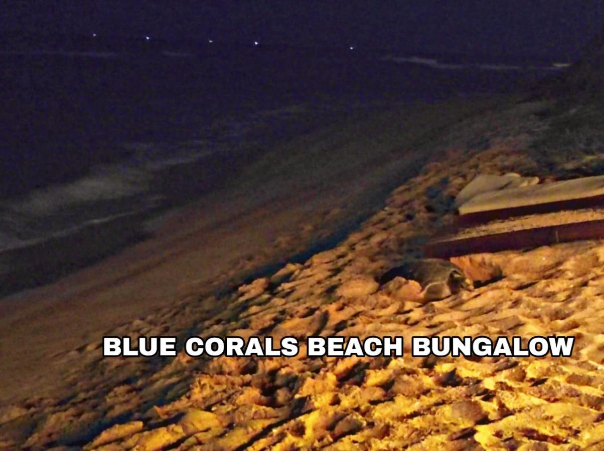 Blue Corals Beach Bungalow Matara Exteriör bild